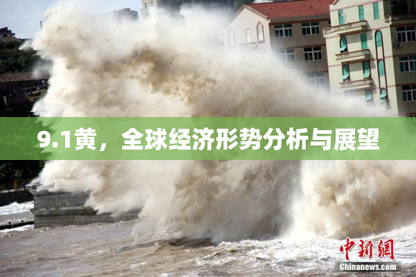 9.1黄，全球经济形势分析与展望
