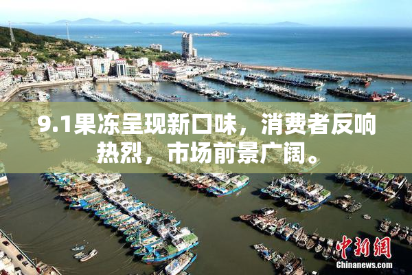 9.1果冻呈现新口味，消费者反响热烈，市场前景广阔。