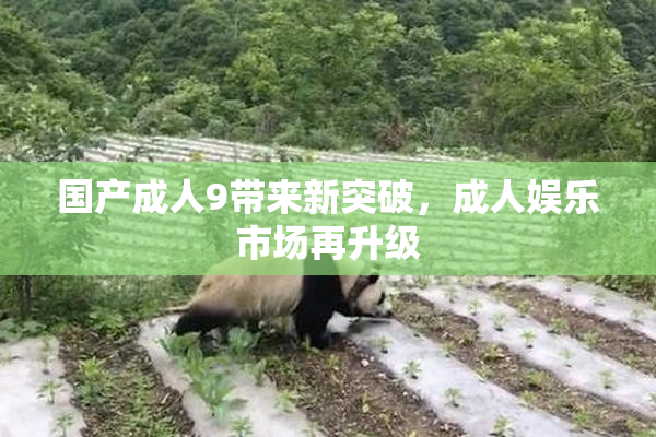 国产成人9带来新突破，成人娱乐市场再升级