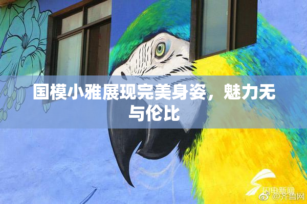 国模小雅展现完美身姿，魅力无与伦比