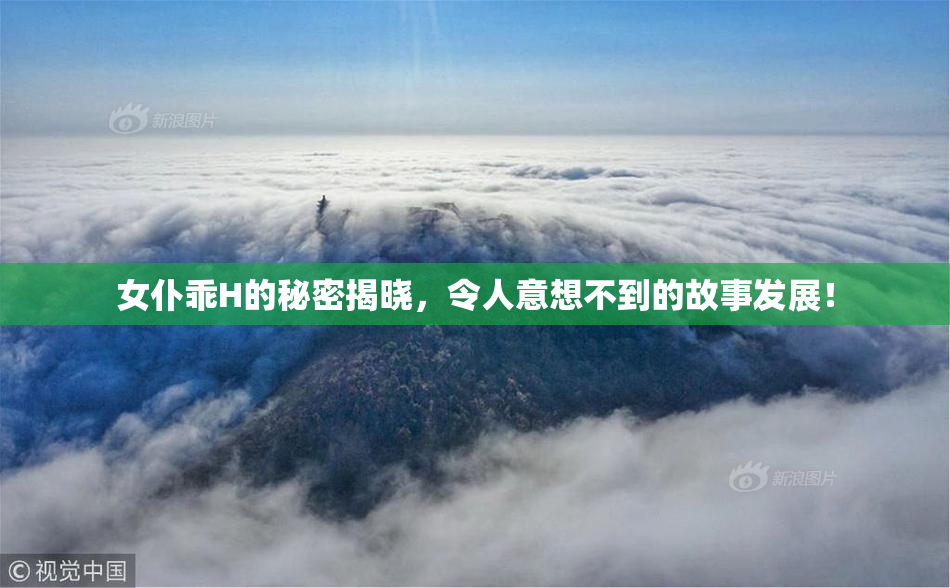 女仆乖H的秘密揭晓，令人意想不到的故事发展！