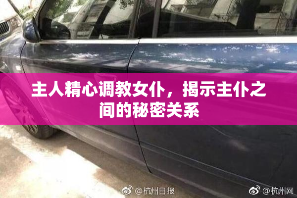 主人精心调教女仆，揭示主仆之间的秘密关系
