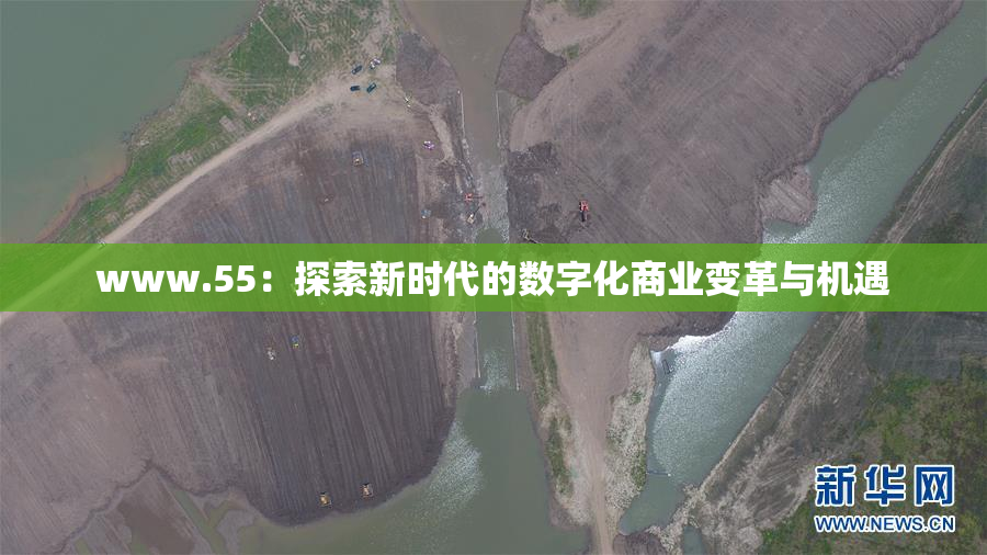 www.55：探索新时代的数字化商业变革与机遇
