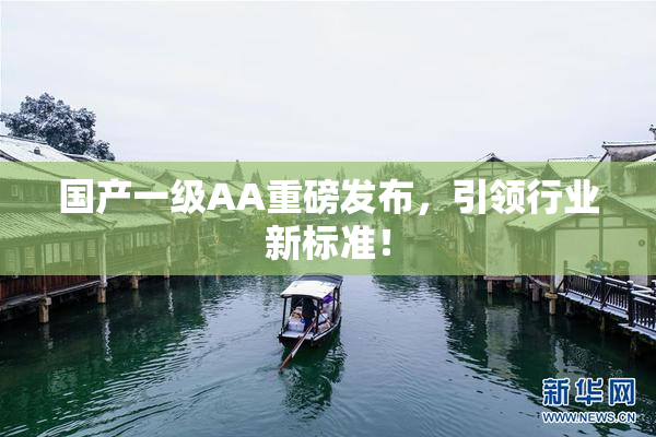 国产一级AA重磅发布，引领行业新标准！