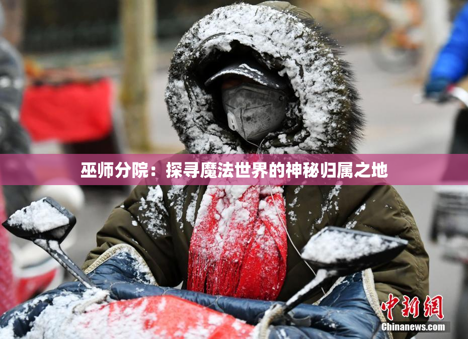 巫师分院：探寻魔法世界的神秘归属之地