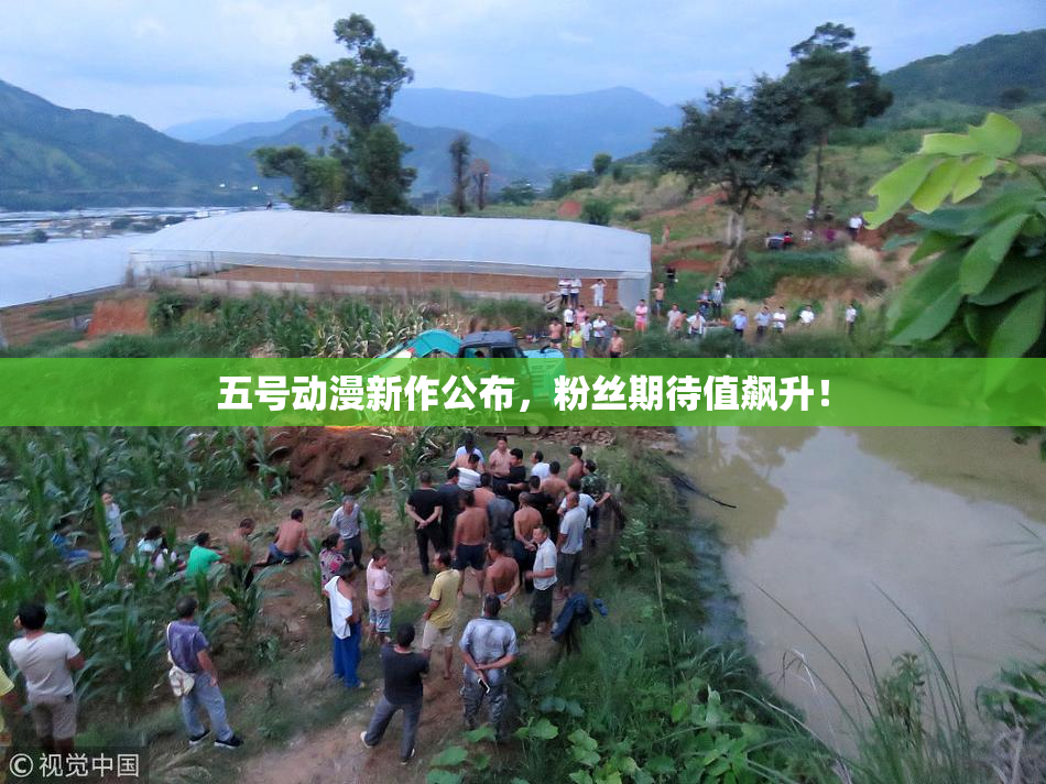 五号动漫新作公布，粉丝期待值飙升！