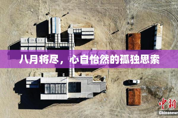 八月将尽，心自怡然的孤独思索