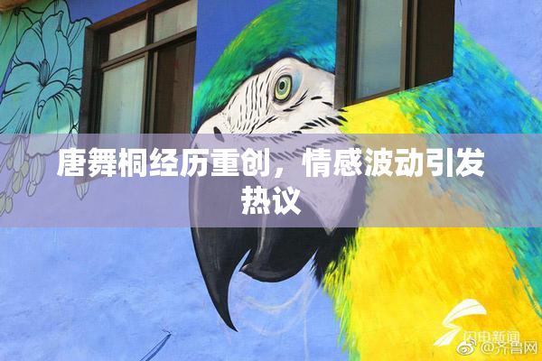 唐舞桐经历重创，情感波动引发热议