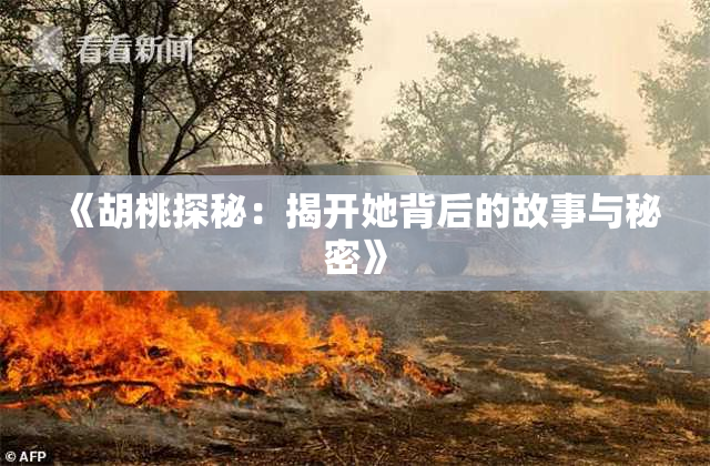 《胡桃探秘：揭开她背后的故事与秘密》