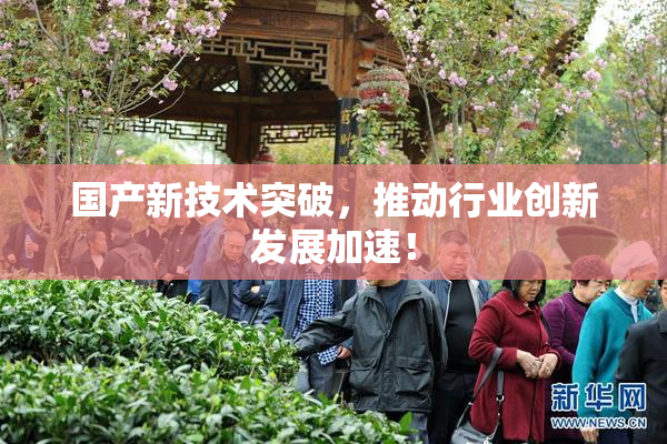 国产新技术突破，推动行业创新发展加速！