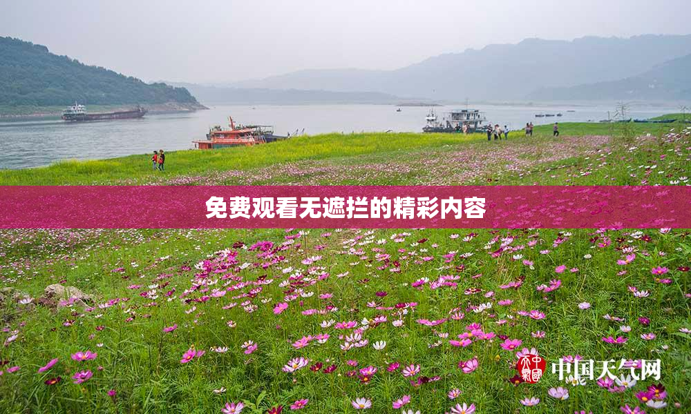 免费观看无遮拦的精彩内容