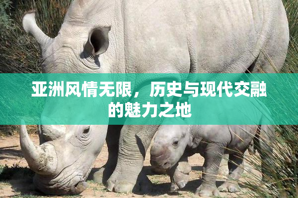亚洲风情无限，历史与现代交融的魅力之地