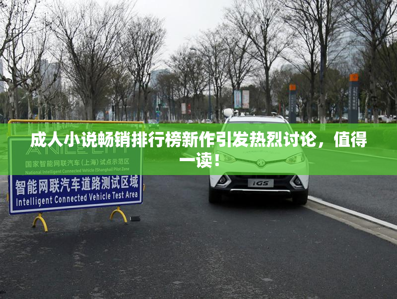 成人小说畅销排行榜新作引发热烈讨论，值得一读！