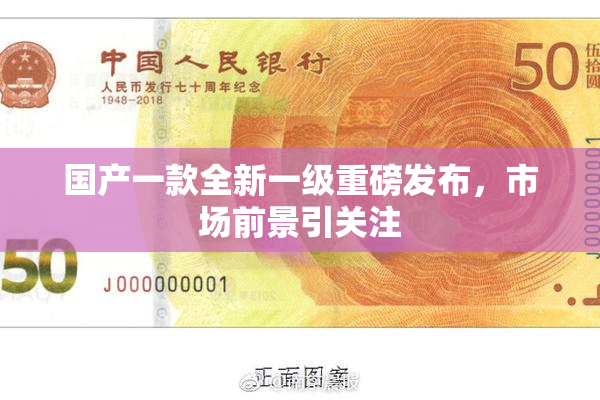 国产一款全新一级重磅发布，市场前景引关注