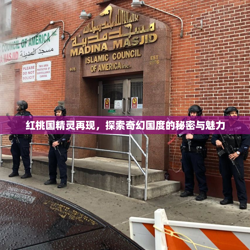 红桃国精灵再现，探索奇幻国度的秘密与魅力