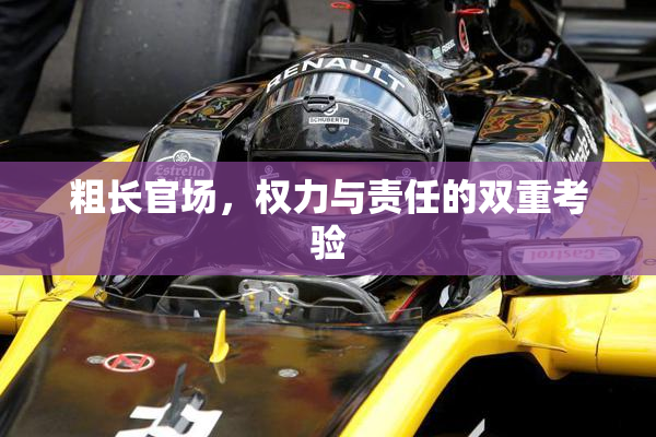 粗长官场，权力与责任的双重考验
