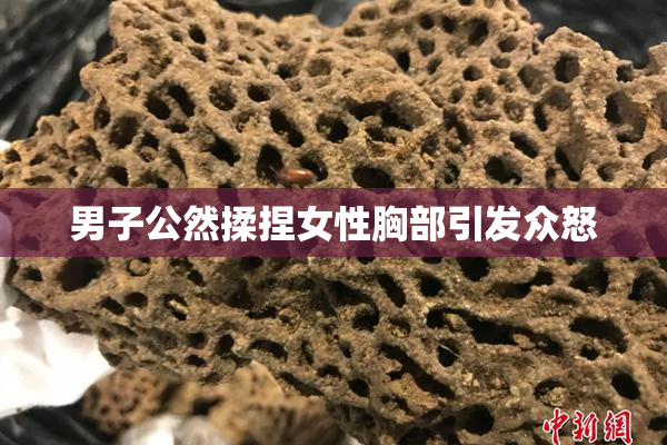 男子公然揉捏女性胸部引发众怒