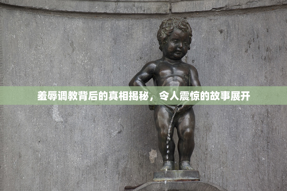 羞辱调教背后的真相揭秘，令人震惊的故事展开