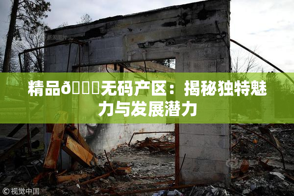 精品🌃无码产区：揭秘独特魅力与发展潜力