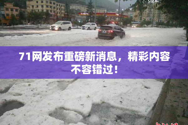 71网发布重磅新消息，精彩内容不容错过！