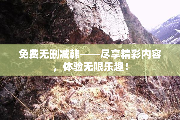免费无删减韩——尽享精彩内容，体验无限乐趣！