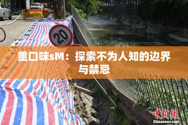 重口味sM：探索不为人知的边界与禁忌