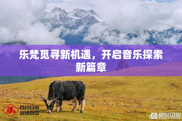 乐梵觅寻新机遇，开启音乐探索新篇章