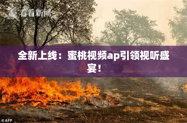 全新上线：蜜桃视频ap引领视听盛宴！
