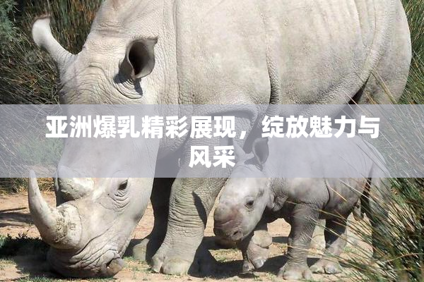 亚洲爆乳精彩展现，绽放魅力与风采