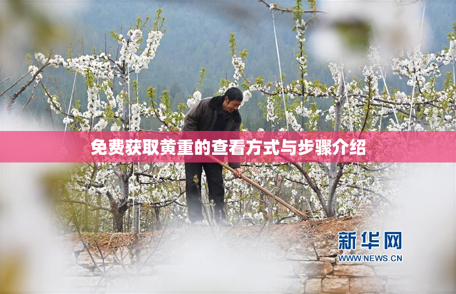 免费获取黄重的查看方式与步骤介绍