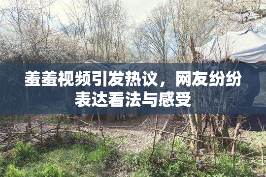 羞羞视频引发热议，网友纷纷表达看法与感受