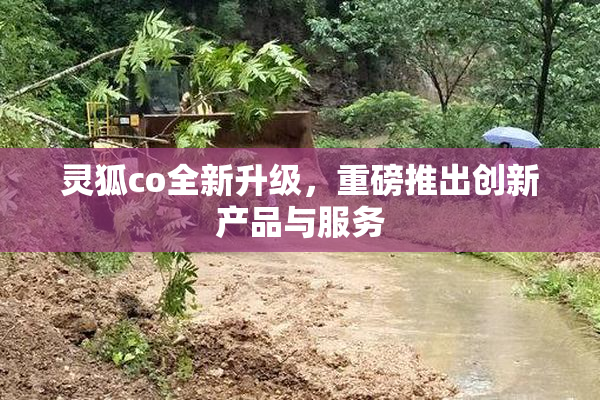 灵狐co全新升级，重磅推出创新产品与服务
