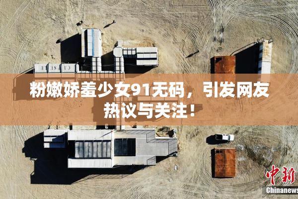 粉嫩娇羞少女91无码，引发网友热议与关注！