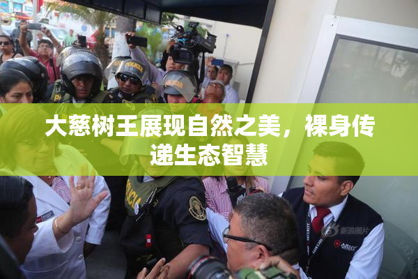 大慈树王展现自然之美，裸身传递生态智慧