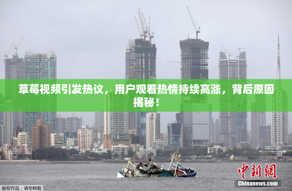 草莓视频引发热议，用户观看热情持续高涨，背后原因揭秘！
