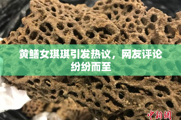黄鳝女琪琪引发热议，网友评论纷纷而至