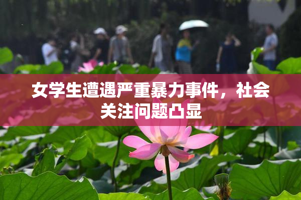 女学生遭遇严重暴力事件，社会关注问题凸显