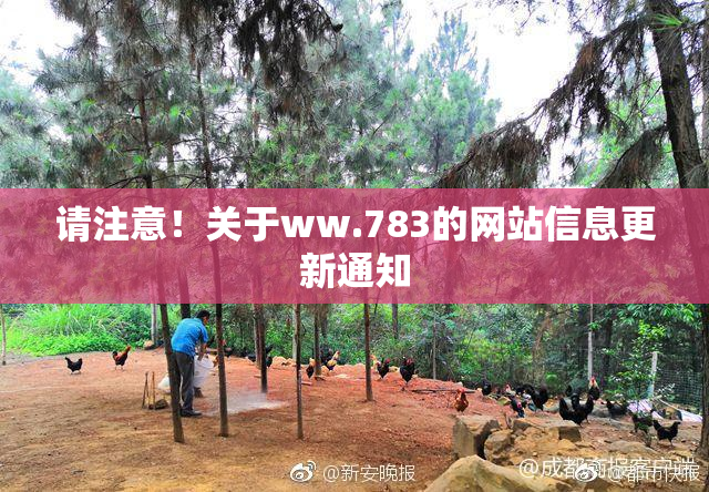 请注意！关于ww.783的网站信息更新通知