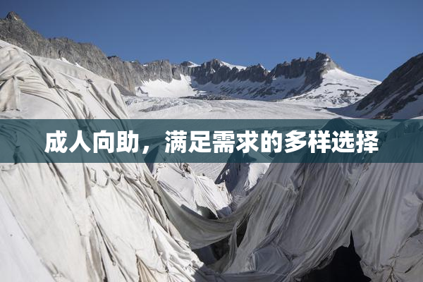 成人向助，满足需求的多样选择