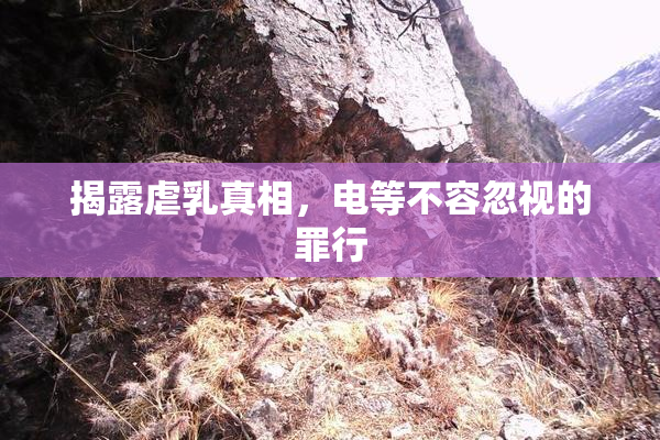 揭露虐乳真相，电等不容忽视的罪行