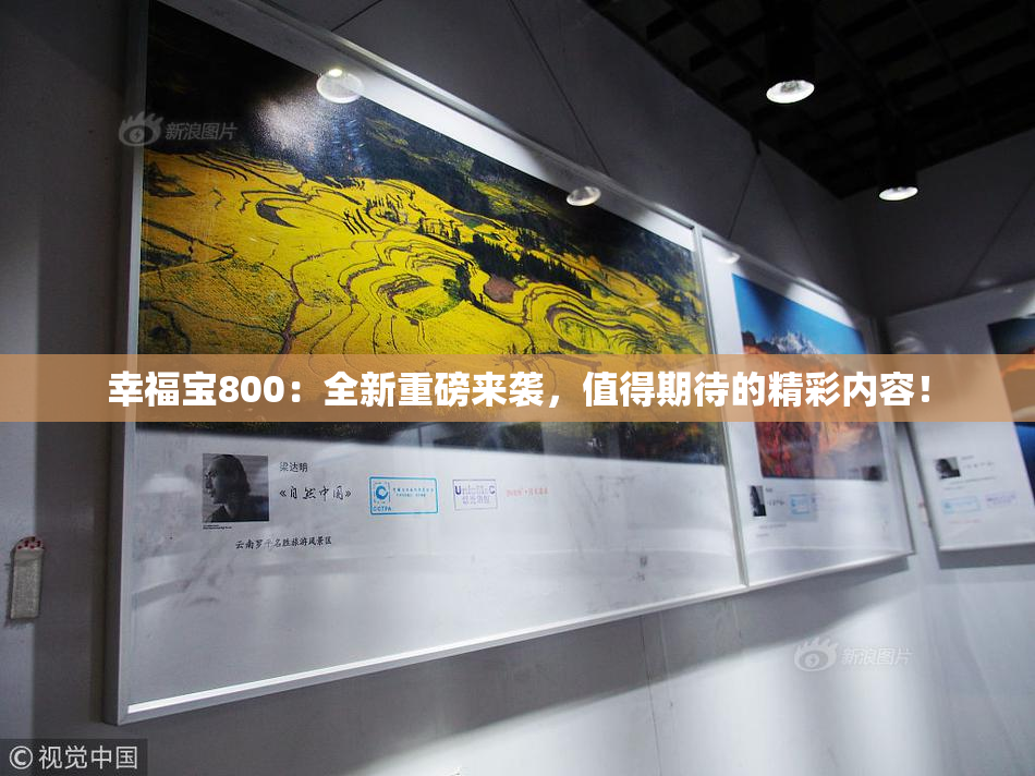 幸福宝800：全新重磅来袭，值得期待的精彩内容！