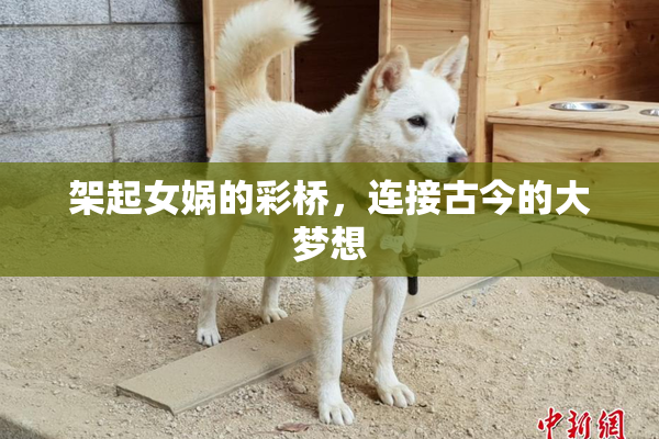 架起女娲的彩桥，连接古今的大梦想