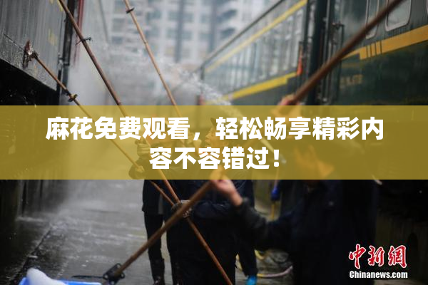 麻花免费观看，轻松畅享精彩内容不容错过！