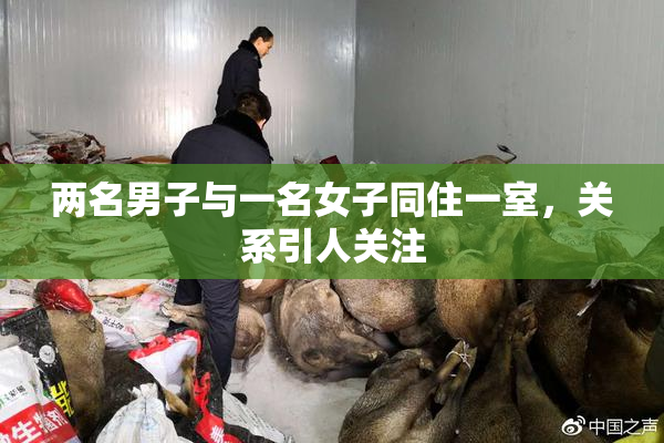 两名男子与一名女子同住一室，关系引人关注