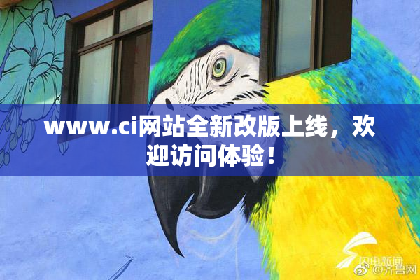 www.ci网站全新改版上线，欢迎访问体验！