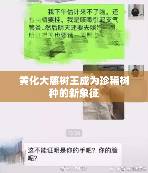 黄化大慈树王成为珍稀树种的新象征