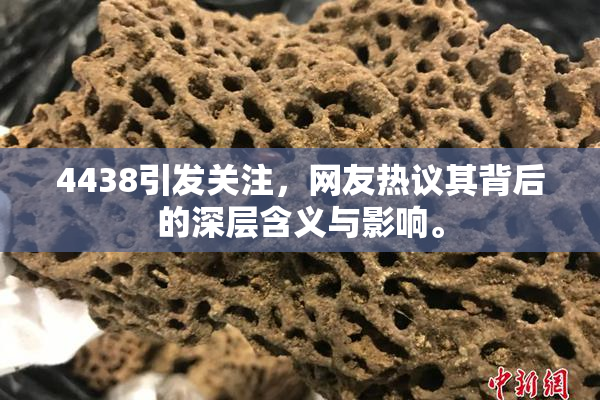 4438引发关注，网友热议其背后的深层含义与影响。