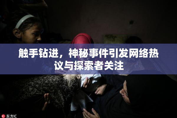 触手钻进，神秘事件引发网络热议与探索者关注