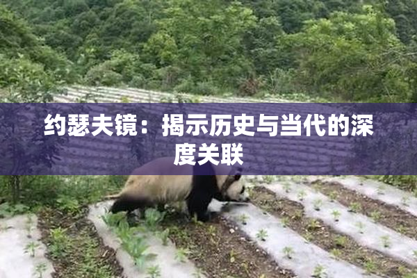 约瑟夫镜：揭示历史与当代的深度关联