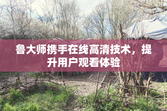鲁大师携手在线高清技术，提升用户观看体验